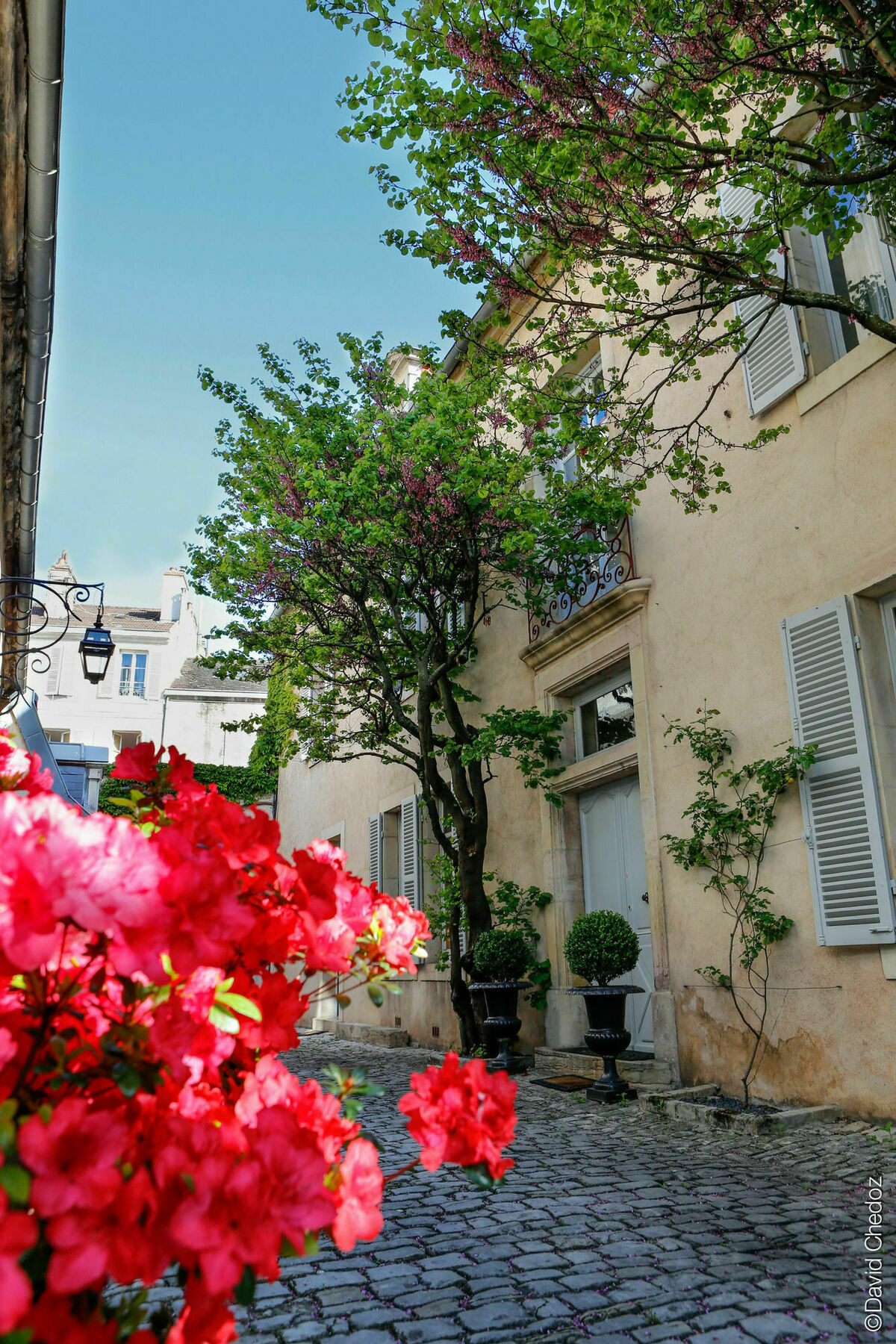 La Cour Berbisey - Teritoria Hotel Dijon Luaran gambar