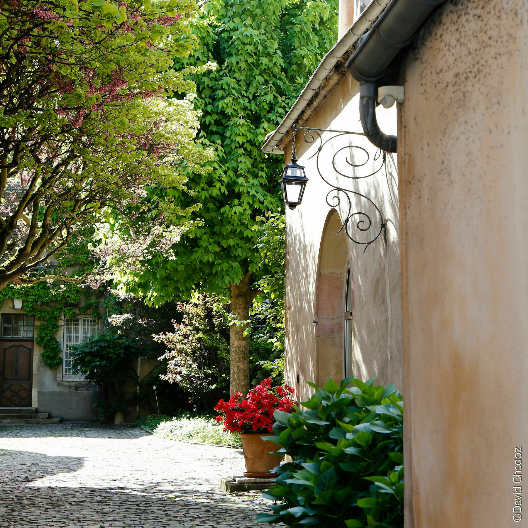La Cour Berbisey - Teritoria Hotel Dijon Luaran gambar
